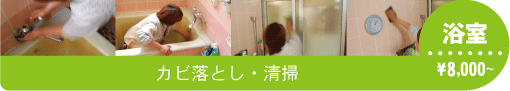 浴室　カビ落とし・清掃　￥8,000～
