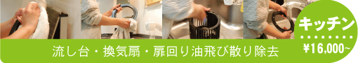 キッチン　流し台・換気扇・扉廻り油飛び散り除去　￥16,000～