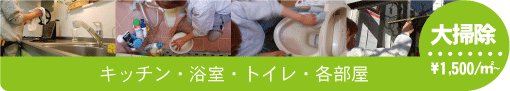 大掃除　キッチン・浴室・トイレ・各部屋　￥1,500/㎡～